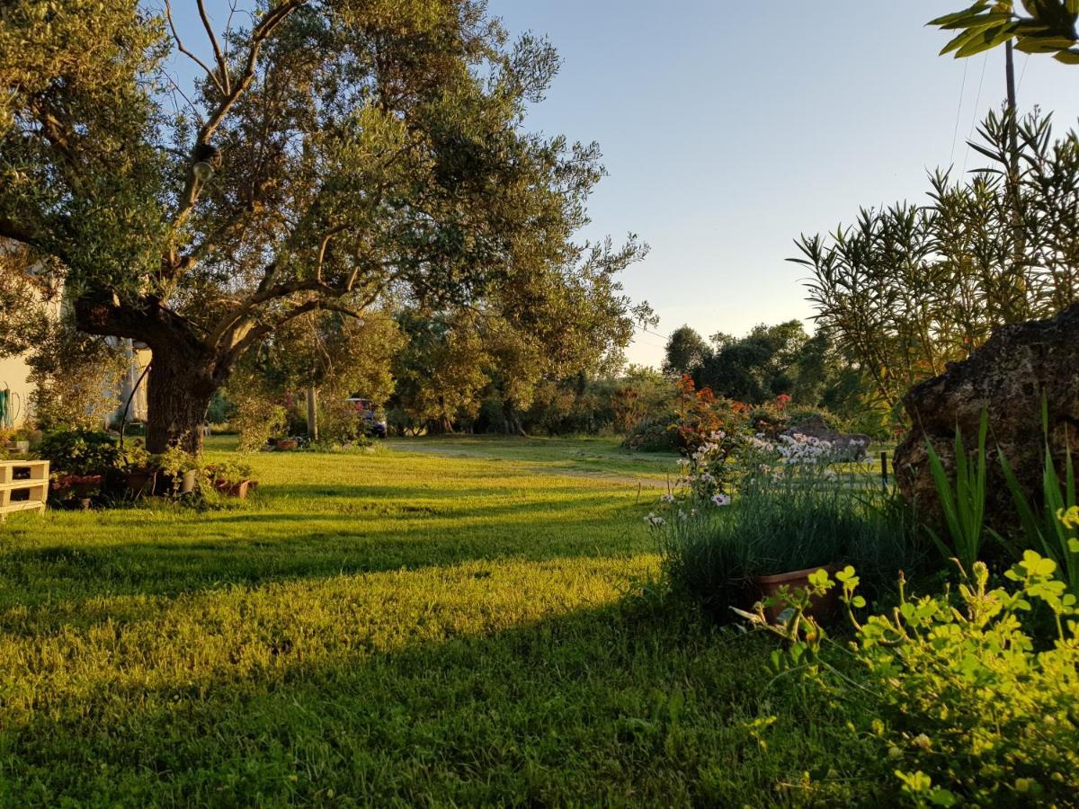 B&B Nuraximannu Santadi Εξωτερικό φωτογραφία