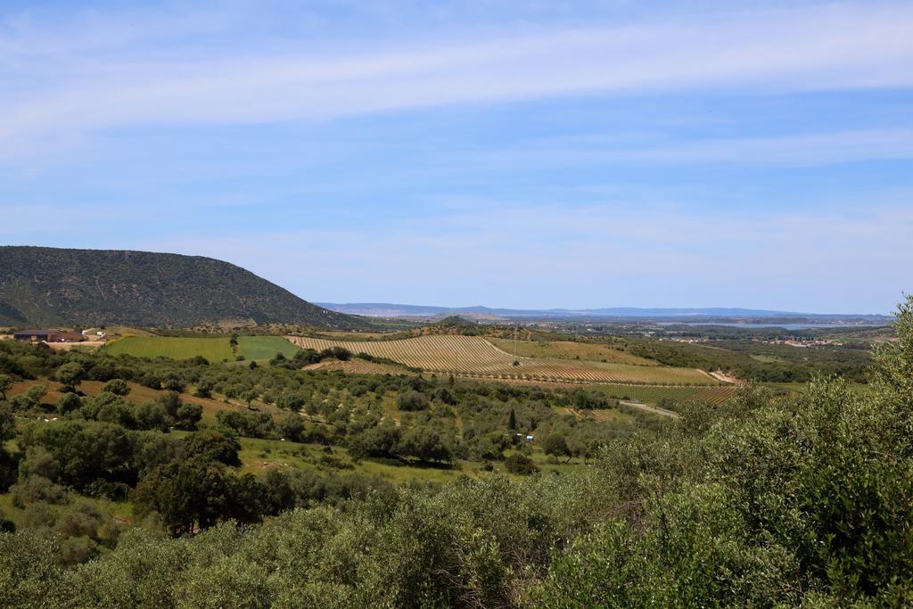 B&B Nuraximannu Santadi Εξωτερικό φωτογραφία