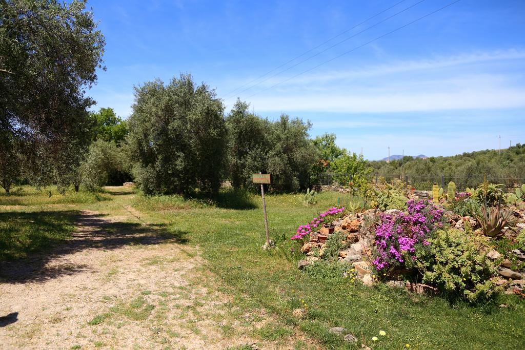 B&B Nuraximannu Santadi Εξωτερικό φωτογραφία