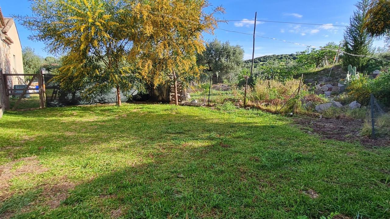 B&B Nuraximannu Santadi Εξωτερικό φωτογραφία